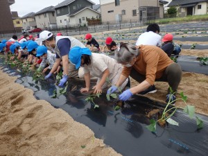 ５～６月の行事