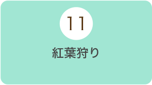 11月